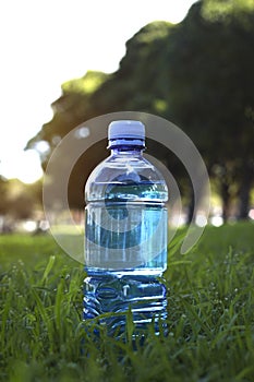 Close up water bottle in the park on green light