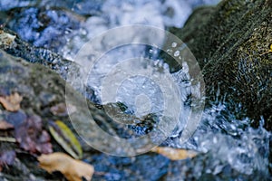 a close up of a water creek in woods