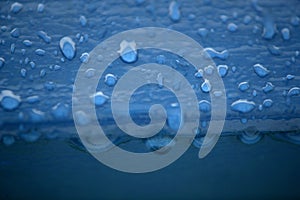 Close up of Water droplets on a blue wood fence