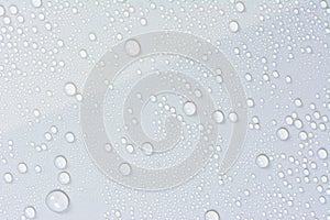 Close up of water drops on gray tone background. Abstract Black and White