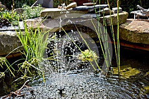 Close up of a water feature in a garden pond