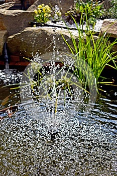 Close up of a water feature in a garden pond
