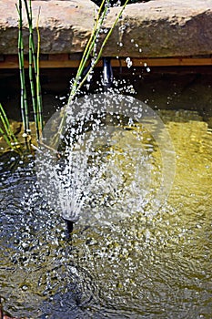 Close up of a water feature in a garden pond