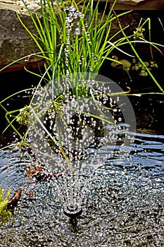 Close up of a water feature in a garden pond