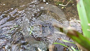 close up of water flow in a ditch. waterways