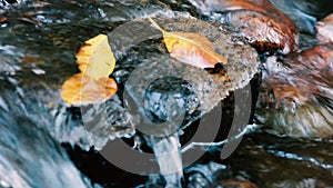 Close-up of water flowing through river rocks and leaves in flowing water, with good positive vibe.