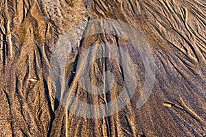 Close up of water flowing through sand ripples or tide lines under a winter sun