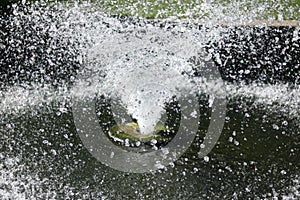 Close up of water fountain in garden with grass in background