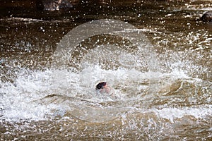Close-up of water huge splashing in pond from people falling into water