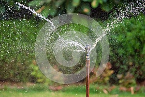 Close up water sprinkler in garden