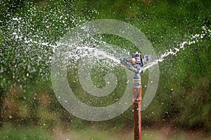 Close up water sprinkler in garden