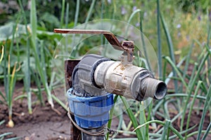 Close-up water tap on a bed of green onions.