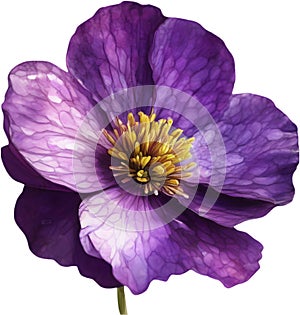 A bouquet of Violet flowers. AI-Generated. photo