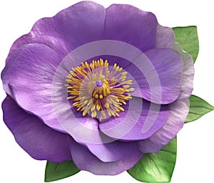 A bouquet of Violet flowers. AI-Generated. photo