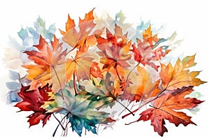 close up watercolor multicolor tree Maple Leaves background. high resolution, Isolate on white Background.