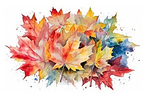 close up watercolor multicolor tree Maple Leaves background. high resolution, Isolate on white Background.