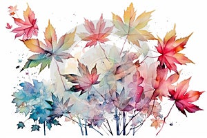 close up watercolor multicolor tree Maple Leaves background. high resolution, Isolate on white Background.