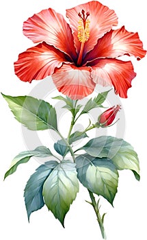 Close-up of a watercolor painting of a Hibiscus flower. Ai-Generated