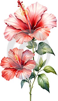 Close-up of a watercolor painting of a Hibiscus flower. Ai-Generated