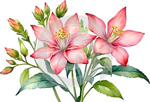 Close-up of a watercolor painting of a Penta flower. Ai-Generated