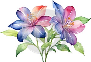 Close-up of a watercolor painting of a Penta flower. Ai-Generated