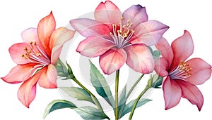 Close-up of a watercolor painting of a Penta flower. Ai-Generated