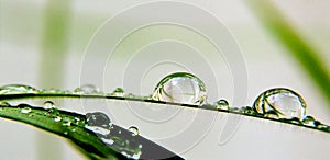 Close up of waterdrops on a grass