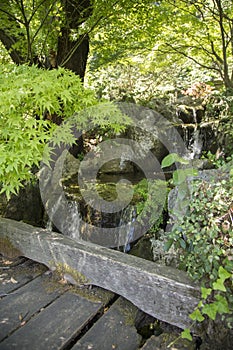 Close-up of a waterfall in a Japanese garden