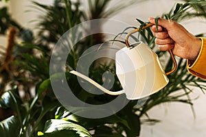 Close up of watering can on a background of leaves. Young beautiful woman watering flowers and plants in her home garden or in a