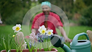 Close-up of watering can and blooming beautiful flowers in pot with blurred young African American man sitting on green
