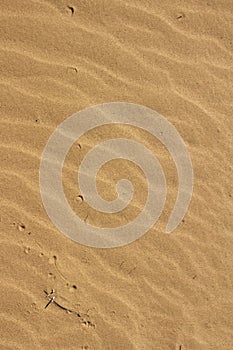 Close up of wave patterns on the sand