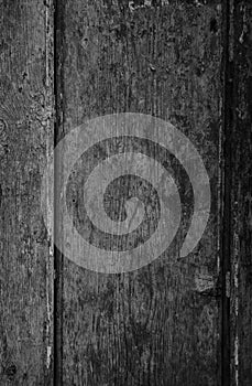 Closeup of a weathered and aged wooden door background in black and white