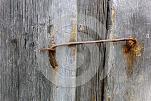 Close-up of weathered, unpainted wooden door, locked on metal hinge. Vintage background from pine shabby plank with rusty lock