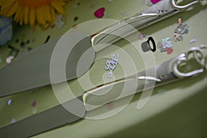 Close up of wedding knives