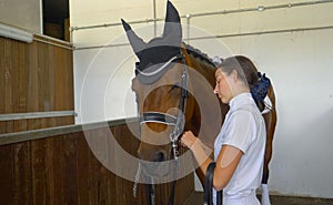 CLOSE UP: Well dressed girl fastening the leather bridle on her stallion's head.