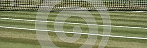 Close up of well manicured grass tennis court with net in the background at Wimbledon, London UK