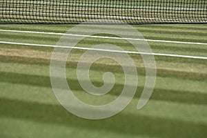 Close up of well manicured grass tennis court with net in the background at Wimbledon, London UK
