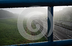 Close-up wet cobwebs in the railing of a flyover over a highway