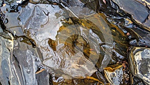 Close up of Wet Rock Surface with Intricate Patterns and Texture Showing Geological