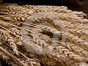 Close up of wheat