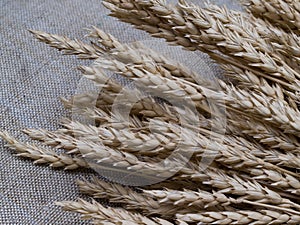 Close up of wheat