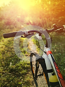 Close up of white bicycle exploring forest roads during sunset