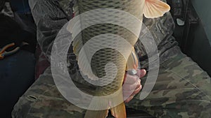 Close up of white fisherman holding fish on gills and cuts its fins and puts fish into nursery. Autumn morning on river.