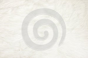 Close up at white fur fabric texture background