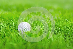 Close-up of white golf ball in green grass meadow . Details of game course . Resort with sport outdoor activitie