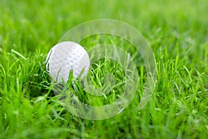 Close-up of white golf ball in green grass meadow. Details of play field. Badly prepared lawn for professional game