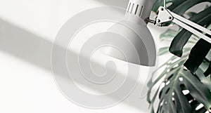 Close-up of a white lamp on the background of a green plant and a wall with sunbeams in the office. Office workplace concept