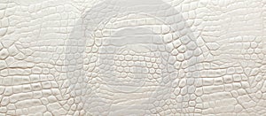Close up of white leather texture with crocodile pattern