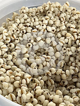 close up white millet texture