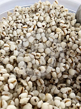 close up white millet texture